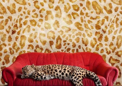 large pussy cat - leopard sleeping